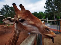 -大连森林动物园