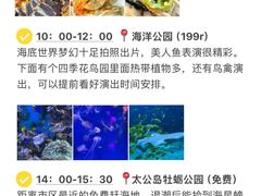 -日照海滨国家森林公园