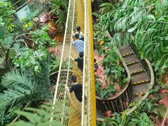 -正佳雨林生态植物园