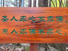 -寂照庵