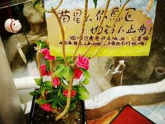-猫小院猫主题咖啡厅(北锣店)