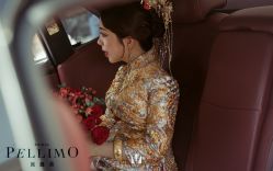 -派丽莫Pellimo原创设计婚纱品牌