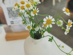 -露露家咖啡店