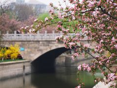-海棠花溪(元大都城垣遗址公园)