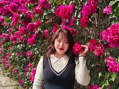 -向外鱼乐·土菜·虹鳟鱼