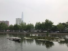 -泰丰公园