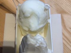 -野人先生现做冰淇淋(北京顺义祥云小镇店)