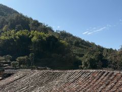 -杨家堂村