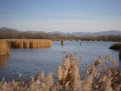 -野鸭湖国家湿地公园