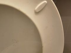 -锦江之星(合肥庐江路三孝口地铁站店)