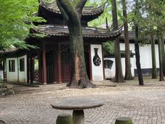 -汇龙潭