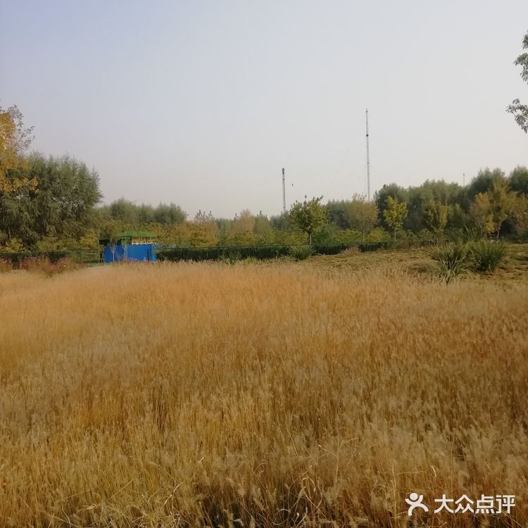 河的东岸新建了一个很大的公园,虽然没有命名
