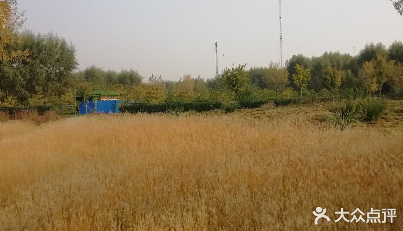 河的东岸新建了一个很大的公园，虽然没有命名