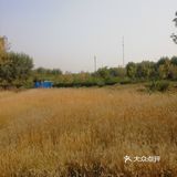 河的东岸新建了一个很大的公园，虽然没有命名