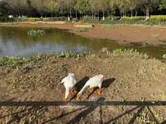 -月牙潭公园