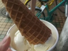 榴莲雪糕-歎雪糕低糖低脂Gelato冰淇淋