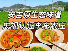 -李东农庄·当地安吉味(中南百草园店)