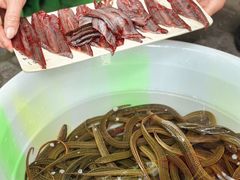 -铜元老码头鳝鱼火锅