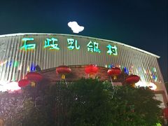 -石岐乳鸽村(桥观坊南四巷店)