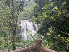 -海南热带雨林国家公园吊罗山景区