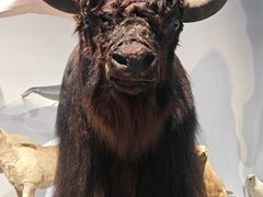 -中国湿地博物馆