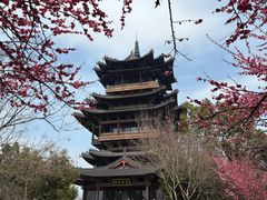 -杭州半山国家森林公园