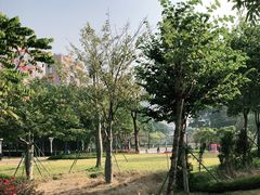 -文华公园(禅城区)