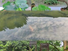 -杭州植物园