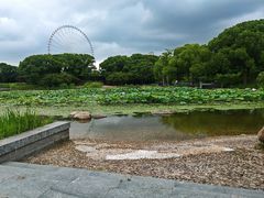-蠡湖大桥公园