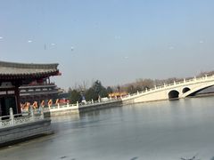 -唐御宴•御宴宫•唐代菜点(芙蓉西路店)