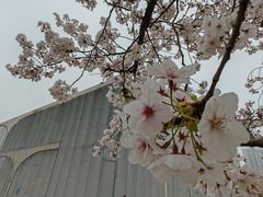 -龙美术馆(西岸馆)