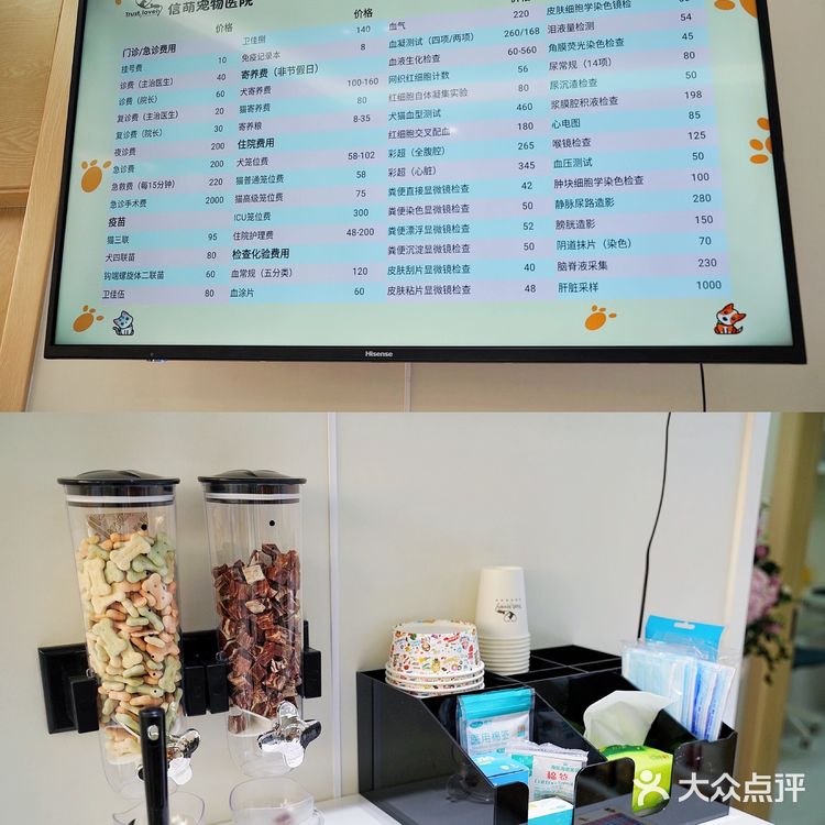 上海宠物医院良心推荐！！！！！！