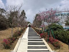 -盈香心动乐园