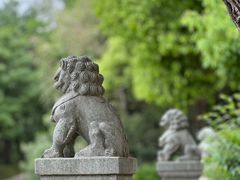 -南京市江宁方山