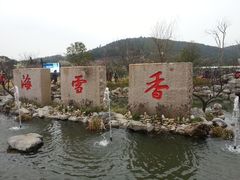 -香雪海