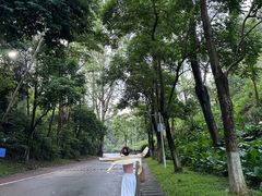 -火炉山森林公园