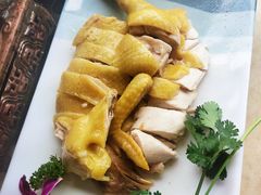 -墨脱石锅椰子鸡•香草鸭•东山羊(大东海店)