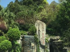 -广州市流溪河国家森林公园