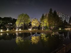 -洋湖国家湿地公园