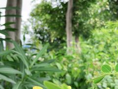 -广西壮族自治区药用植物园