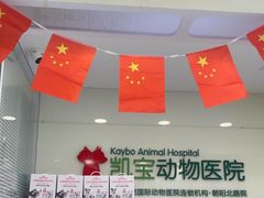 -悦宠凯宝动物医院·牙科·皮肤科(朝阳北路店)