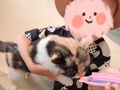 -藏猫猫咖啡主题馆(中央大道店)