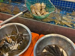 -浙C老邻舍(西城海错店)