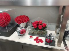 -ROSEONLY诺誓(沈阳万象城店)