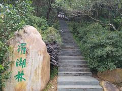 -梧桐山风景名胜区
