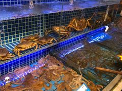 水产区-必点海鲜·鲅鱼水饺(鞍山西道店)