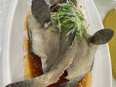 -寻味顺德·南记酒家·传统顺德菜·鱼生(广源路店)