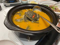 红煨甲鱼-喜湘宴·精致湖南菜(和平西桥店)