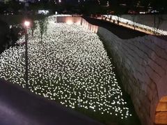 -东大门市场