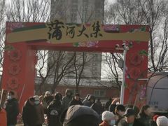 -蒲河大集